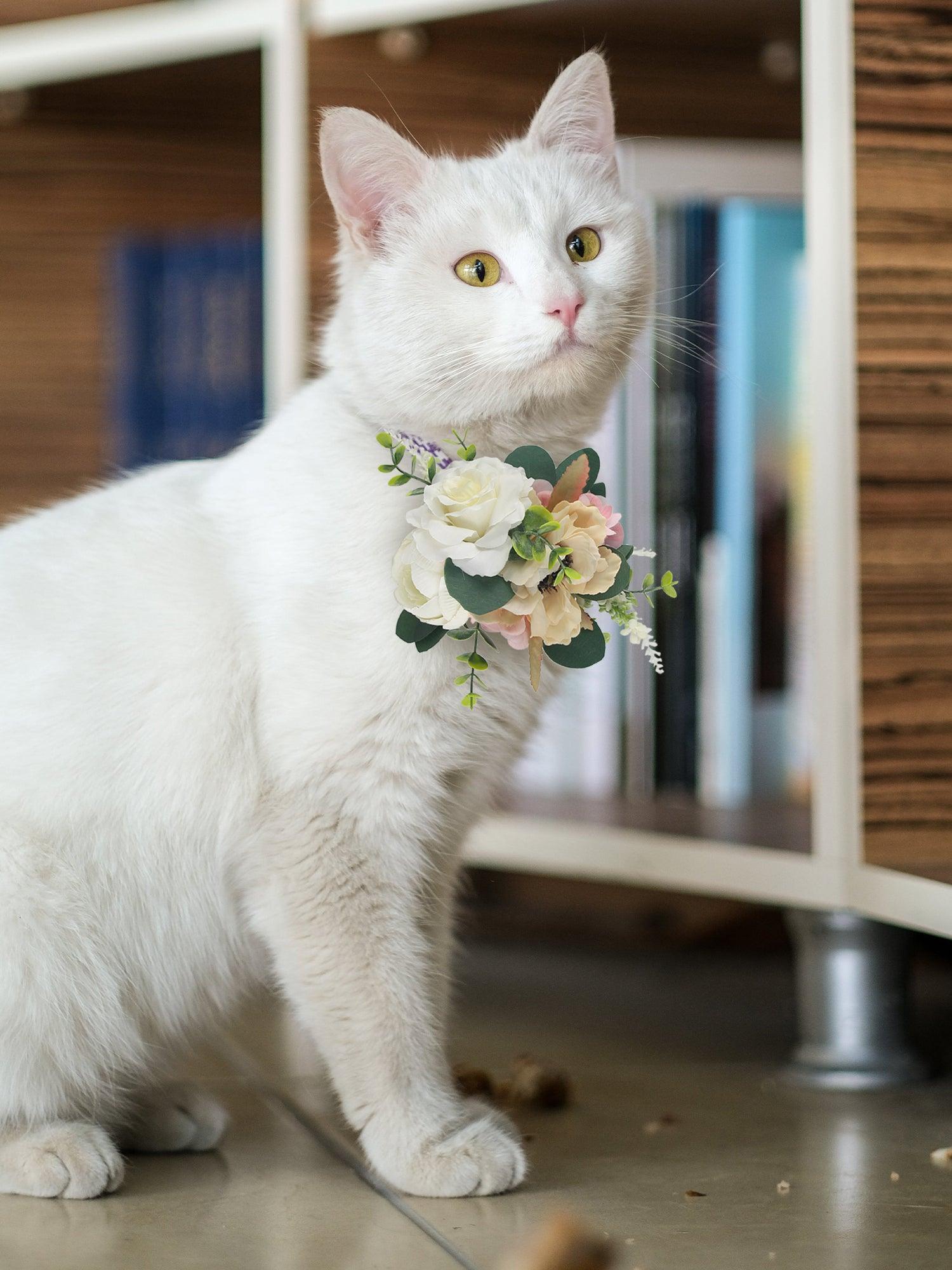 White & Sage Flowers for Collars - Rinlong Flower